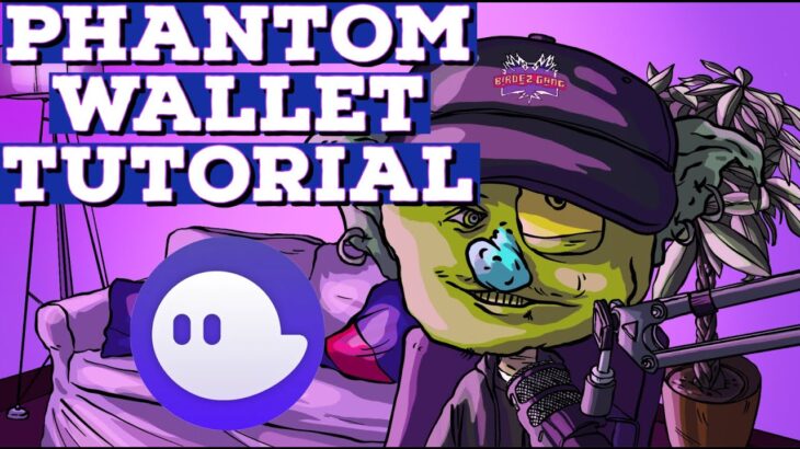 Tutorial Phantom wallet per gli NFT SOLANA