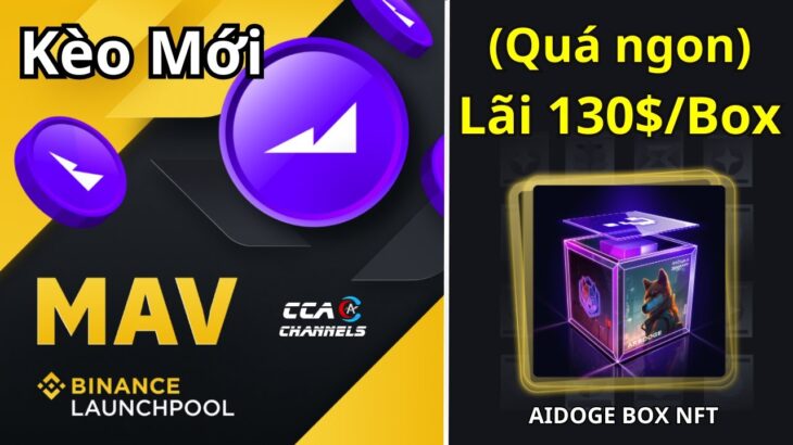 Update: Kèo NFT AIDOGE lãi 130$/BOX | Launchpool mới MAV trên Binance