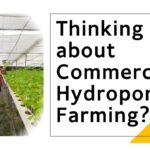 Which one is More Profitable NFT Vs DFT Vs Vertical Aeroponic Commercial system ?