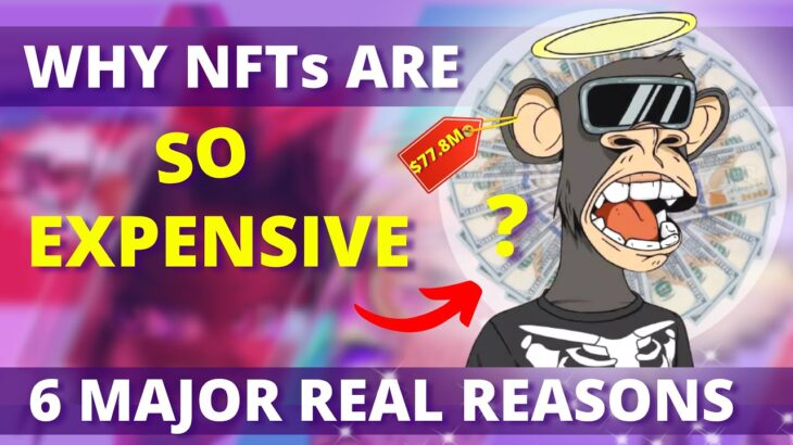 Why Is NFT Art So Expensive? : 6 Major Reasons in Hindi (2023) | Why Are NFTs Valuable