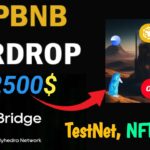 opBNB TestNet BSC Chain Layer2 Solution Potential Airdrop | zKBridge NFT Mint