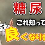 【専門医が断言！】この仕組みを知っていると、みるみる糖尿病は良くなります！