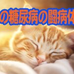 「猫の糖尿病の闘病体験」ペットヒーリング当院の施術感想紹介