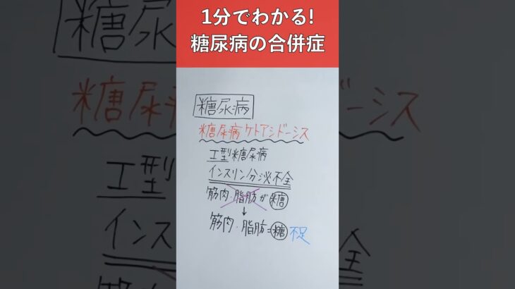 【本日の看護師国試】糖尿病の急性・慢性合併症【内分泌】