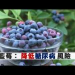 藍莓- 降低糖尿病 風險