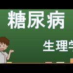 糖尿病【解剖生理学・形態機能学】レクチャー