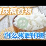 什么米更升糖？糖尿病食物 | 健康之路