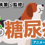 犬の糖尿病について【獣医師執筆監修】症状から治療方法