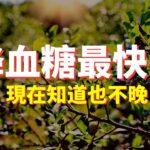 糖尿病健康可以吃的食物，降血糖應該吃的食物 | 喵一下youtube 視頻