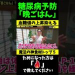 糖尿病予防「夜ご飯」トップ５で中性脂肪18.2%減らし、内臓脂肪4.9%落とす!【ダイエット整体師】