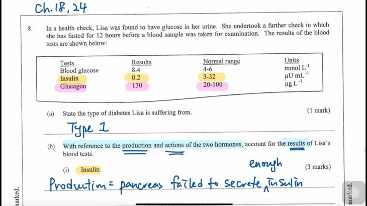 2015 DSE Biology 生物 Paper 1B Q8 (糖尿病患者)