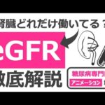 【20分で糖尿病専門医が解説】アニメーションでわかるeGFRという謎の重要指標