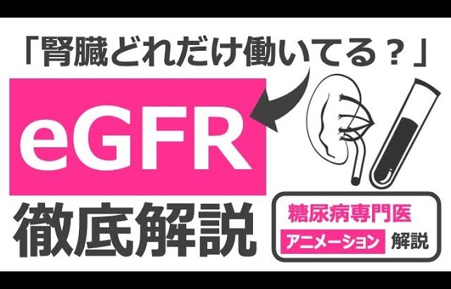 【20分で糖尿病専門医が解説】アニメーションでわかるeGFRという謎の重要指標