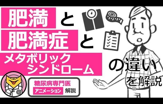 【24分で糖尿病専門医が解説】アニメーションで分かる肥満と肥満症とメタボリックシンドロームの違い