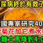 糖尿病終於有救了！美國專家研究40年，幹菊花加它煮水喝，血糖立馬從18降到4，從此不得糖尿病【養生常談】