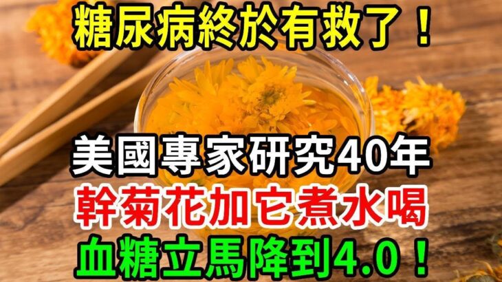 糖尿病終於有救了！美國專家研究40年，幹菊花加它煮水喝，血糖立馬從18降到4，從此不得糖尿病【養生常談】