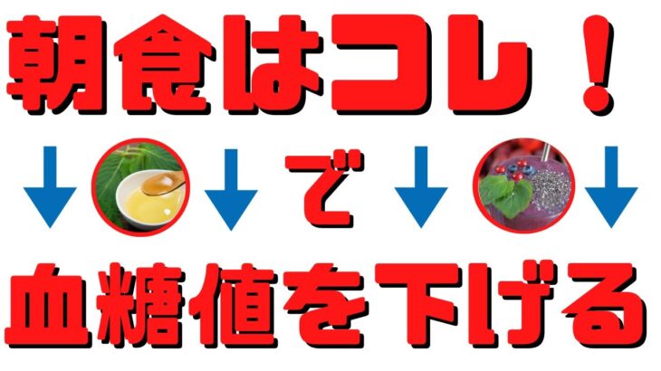 【糖尿病予防】朝食で血糖値の上昇を抑えることができる食品8選！看護師からの提案！【雑パラ】（再編集版）