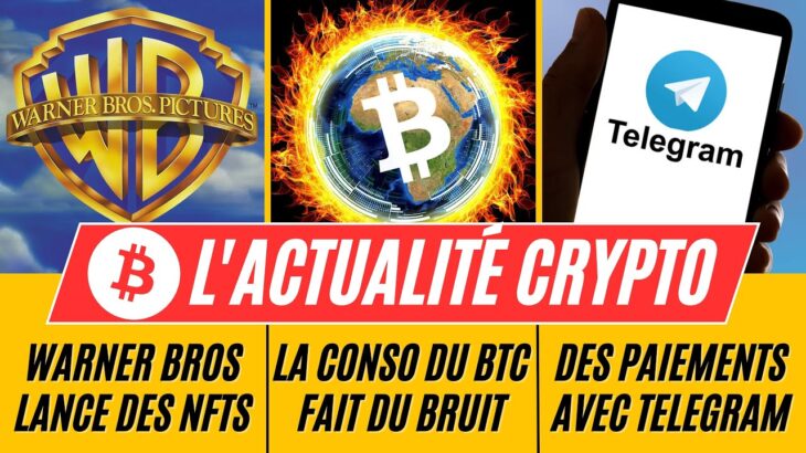 Actualités Bitcoin & Crypto : NFT chez Warner Bros / Consommation énergétique / Paiement Telegram