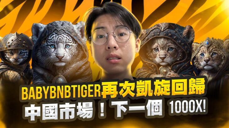 BabyBNBTiger：BSC 上的下一个 1000 倍山寨币 | NFT、元宇宙、影响者和慈善事业！