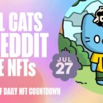 Cool Cats & Reddit Make NFTs | Genkai Cyberkongz on Ronin | $8K Photography NFT Sale