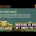 Crazy Ants NFT Free to Play Play to Own Dungeon Crawler