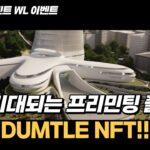 수익 기대해볼만한 폴리곤 기반 프리민팅 DDM DUMTLE NFT, 구독자 WL 이벤트까지!