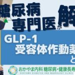 GLP-1　受容体作動薬とは？｜おかやま内科糖尿病・健康長寿クリニック｜医師による糖尿病についての動画講座