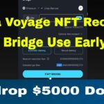 Linea Voyage NFT Receive | Linea Bridge Use Early User | Airdrop 45000 Dollar