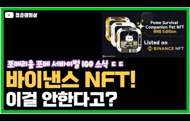 포메리움 바이낸스 NFT 민팅 소식! 포메리움 가디언즈 노드 최근 근황까지!