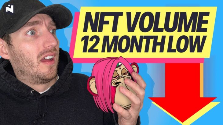 NFT Volume reaches a 12 month low: Why this dip could get WORSE