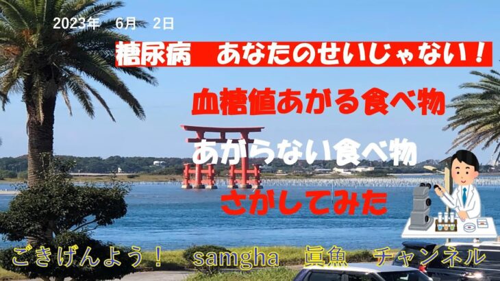 糖尿病　やっつけるからな！　【Round,15】　6月02日　血糖値データと食事メニュー