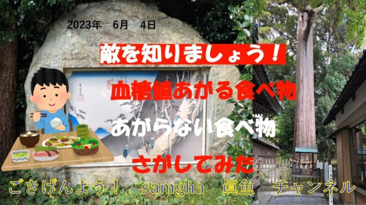 糖尿病　やっつけるからな！　【Round,17】　6月04日　血糖値データと食事メニュー