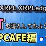 XRPLedger(XRPL)のNFTを購入してみよう！XRPCAFE編