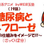 ８話オマケ 「腎臓の仕組み～ネフローゼと糖尿病～」