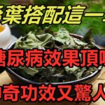 桑葉搭配這一草，抗疲勞和防治糖尿病效果頂呱呱，神奇功效又驚人！【養生之道】