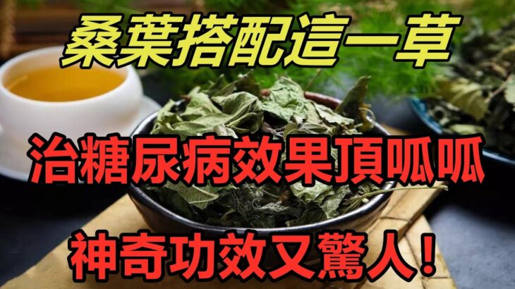 桑葉搭配這一草，抗疲勞和防治糖尿病效果頂呱呱，神奇功效又驚人！【養生之道】