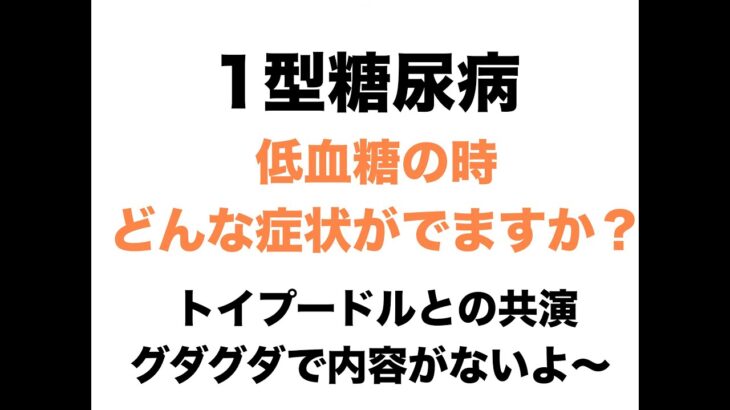 【１型糖尿病】低血糖の時、どんな症状がでますか？〜トイプードルとの共演　ぐだぐだです