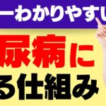 ２型糖尿病になる仕組み