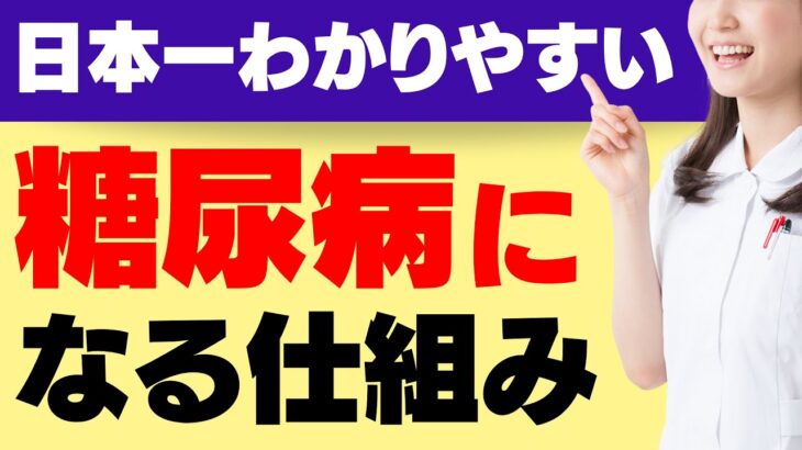 ２型糖尿病になる仕組み