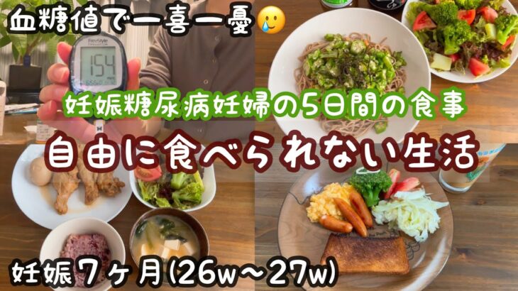 【アラサー妊婦vlog】妊娠糖尿病妊婦の食事記録🍚 | 初めての自己血糖値測定🩸 | 食事療法 | 妊娠7カ月 | 専業主婦【初マタ】