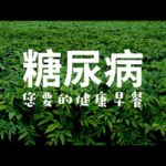 糖尿病超級健康的食物 | 喵一下 youtube 視頻分享