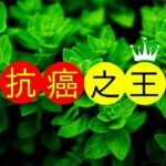 糖尿病健康應該要常常吃的食物，抗癌必須常吃的食物 | 喵一下youtube 視頻