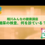 糖尿の検査、何を診ている？（2023年6月15日実施）