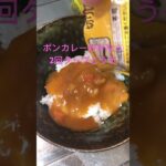 ボンカレーに洗脳された糖尿病　ボンカレー2個目　心筋梗塞退院後184日目　夕食の後の夕食　#糖尿病 #レトルトカレー #デブカリ