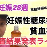 49歳妊娠28週、妊娠性糖尿病&貧血検査結果発表ライブ！(高齢妊娠の過ごし方)