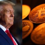 How Much Trump Has Invested In Cryptocurrencies After NFT Sales