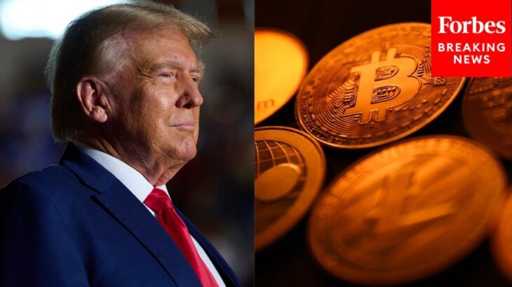 How Much Trump Has Invested In Cryptocurrencies After NFT Sales