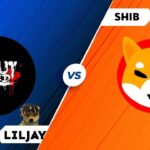 King Lil Jay has Shiba inu potential 100x ?   #liljay #kingliljayinu #ethereum #nft