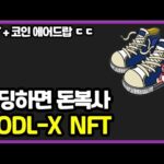 NFT 홀딩하고 코인 에어드랍! HODL-X NFT 프로젝트! 구독자 코인 + NFT 이벤트!