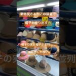 中国駐在員の糖尿病激闘日記　No220 #中国 #上海 ＃猛暑＃帽子＃椰子の実＃長渕